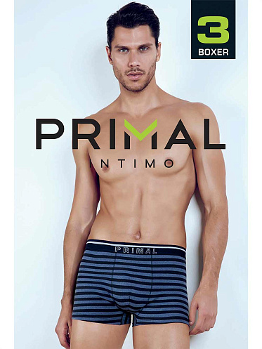 Трусы Primal